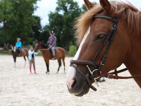 Ecole d'équitation