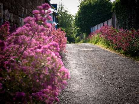 Le Chemin des Crêtes