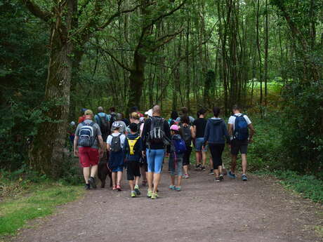 Balades contées de l'Office de Tourisme de Brocéliande