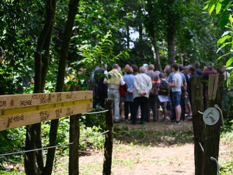 Motte féodale de La Carriais