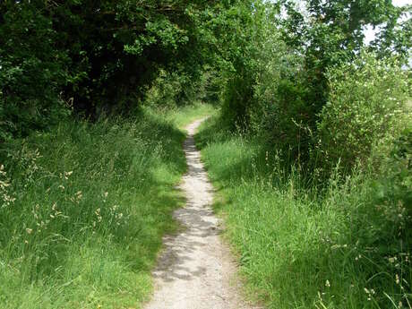 Sentier de promenade N°6 Noyal-sur-Vilaine - Brocéliande