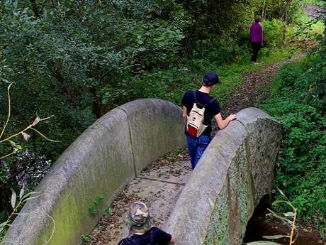 Du haut des Echelles de Montours