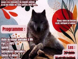 Les estivales animales