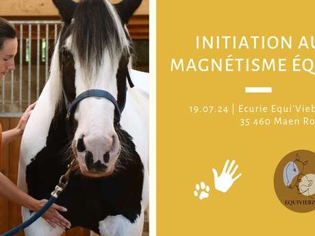 Journée d'initiation au magnétisme équin