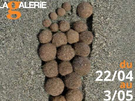 Exposition Photo - Land Art