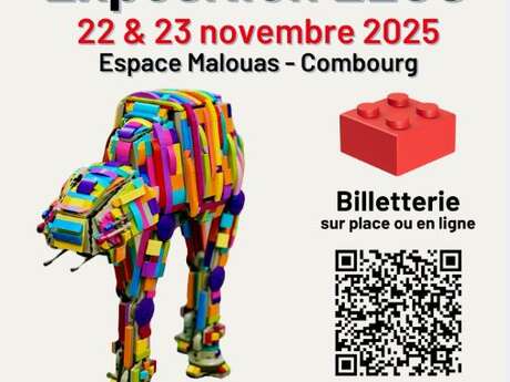 Exposition Combourg Bricks