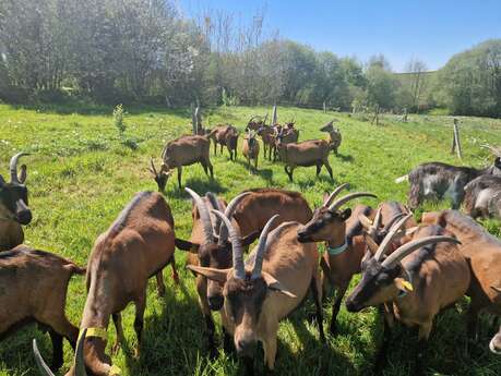 Visite guidée "Hermeillon Tour" (groupes)