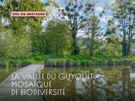 Echappées Baie : La Vallée du Guyoult – Mosaïque de biodiversité