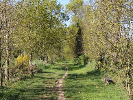 Circuit de la Petite Crête n°173