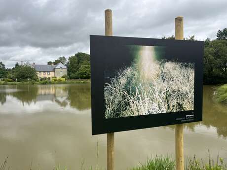 Parcours commenté - Exposition photo "Brocéliande autrement, brocéliande mystérieuse"