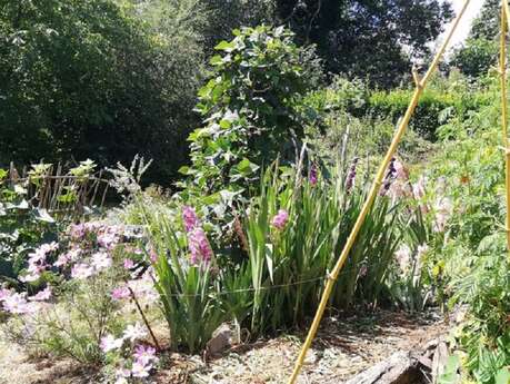Bienvenue dans mon Jardin au Naturel - Jardin Forêt comestible LouZou