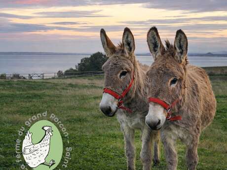 La Ferme du grand Porcon