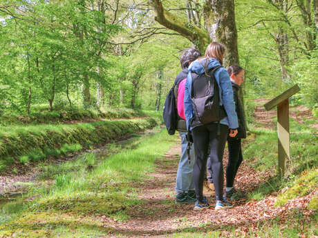 Circuit de La Motte aux Anglais