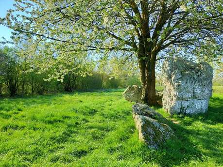 Visite des alignements des menhirs de Lampouy