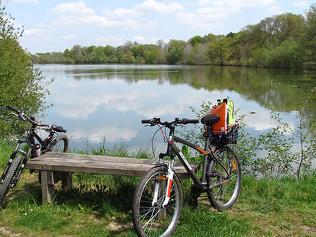 Vélo Promenade® n°2 : Entre Rives et Routes