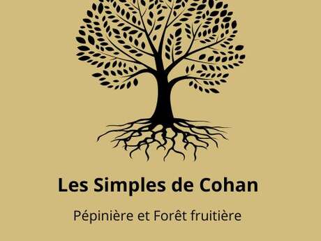 Venez découvrir notre roseraie !