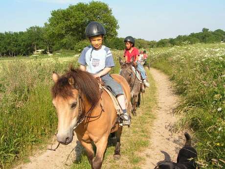 Ferme équestre les poneys de la Jouv'