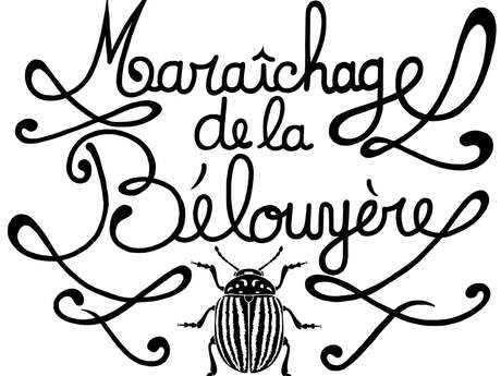 Maraichage de la Belouyère