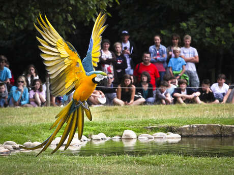 Parc animalier de Branféré Parc animalier de Branféré