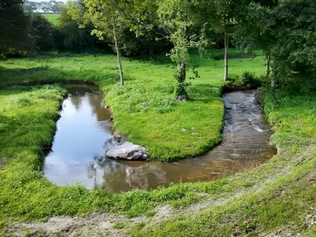 Balade Nature sur les bords de la Loisance restaurée