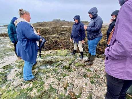 Balade autour des algues et visite de la Ferme Marine