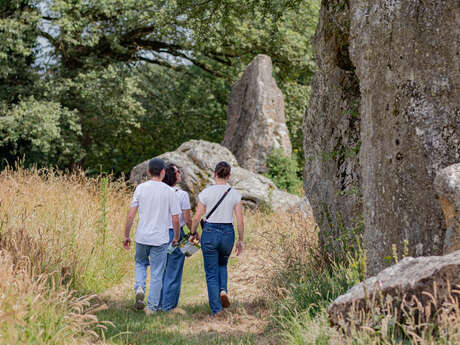 A la découverte des paysages - Les alignements de Lampouy