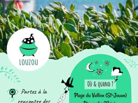 Sortie nature Louzou - Magie des bords de Rance, Découverte des plantes comestibles et médicinales de l'estuaire