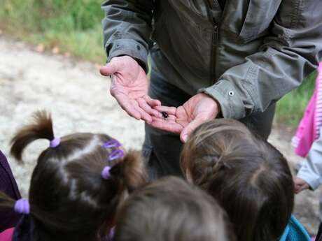 Les sorties de la Maison de la Rance