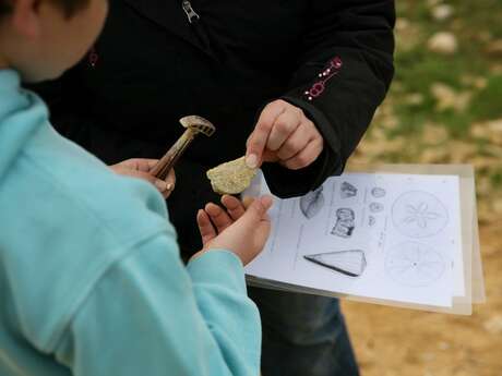 Les sorties de la Maison des Faluns