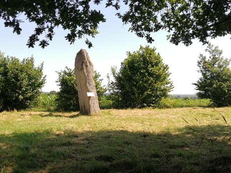 Le menhir de la Pierre Longue