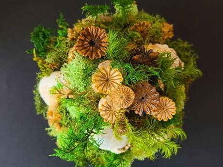 Morgan Etes - Le monde en végétal