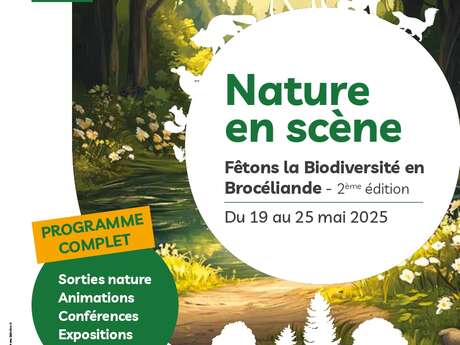 Sortie nature « Papillons et libellules »