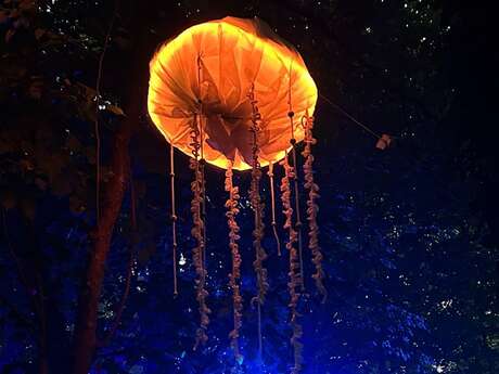 Nocturnes automnales au Parc Botanique de Haute Bretagne
