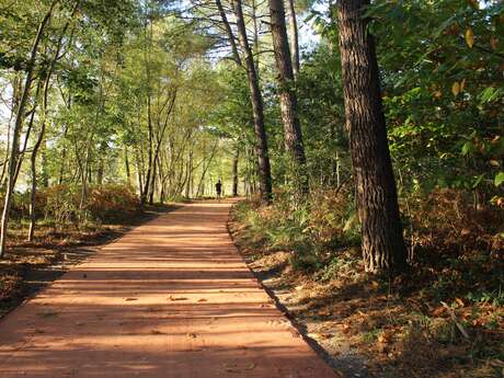 Lac et landiers de Trémelin n°117