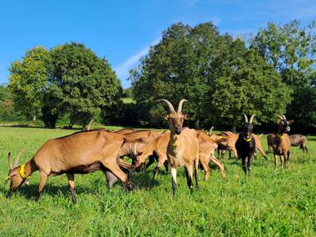 La Ferme d'Hermeillon