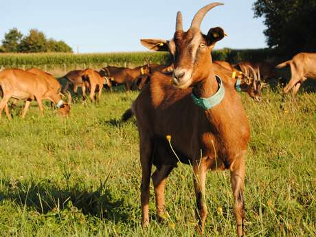 La Ferme d'Hermeillon