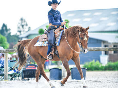 Ecuries Breizh Valley