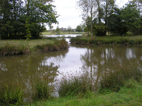 Vallée du Guyoult