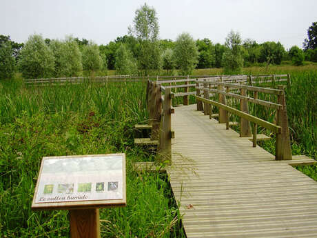 Parc de l'An 2000