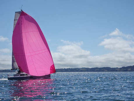 Stages de voile Route du rhum 2026
