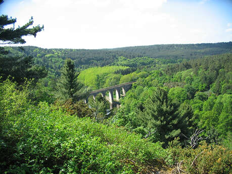 Visite guidée Nature et Patrimoine aux Corbinières