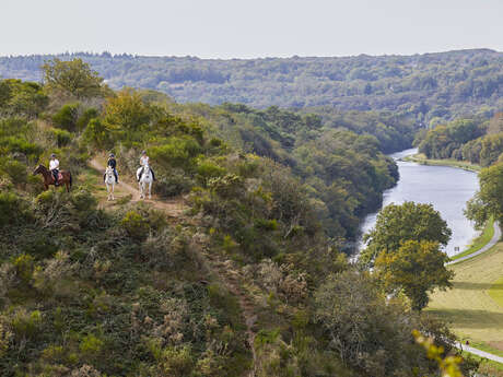 La vallée de la Vilaine à Pléchatel