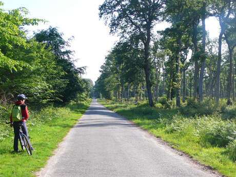 Circuit VTT en Pays de Rennes n°1 : Liffré