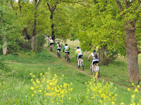 Circuit VTT Les coteaux de l'Aff n°C2 Circuit VTT Les coteaux de l'Aff n°C2
