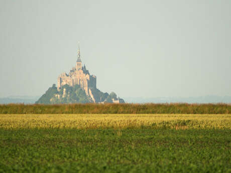 Chemins de St-Jacques-de-Compostelles: Voie des Capitales
