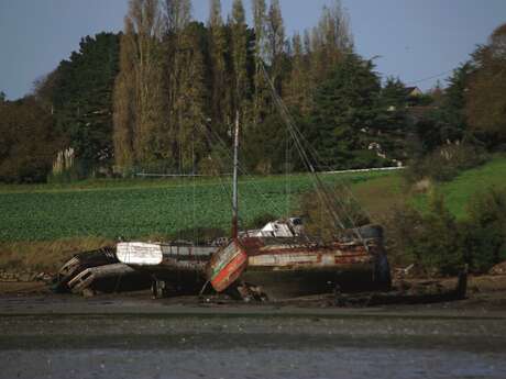 Histoire de l'écosystème de la Rance