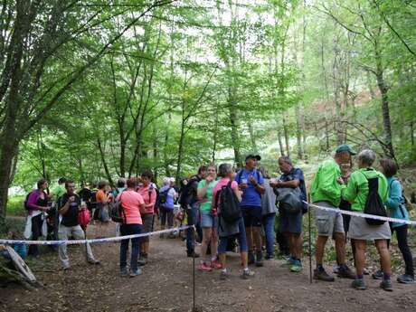 Rando festi-gourmande sur les chemins de Brocéliande