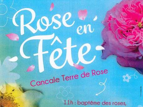 Rose en fête