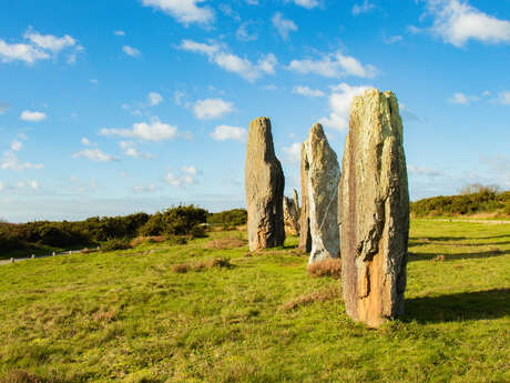 Site des Mégalithes et Landes de Saint Just