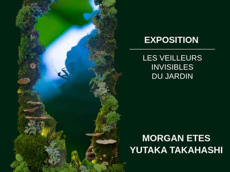 Les veilleurs invisibles du jardin